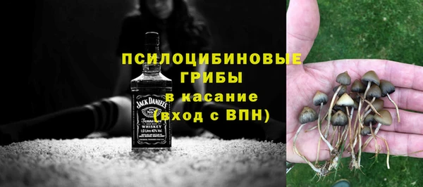соль курить ск Белокуриха