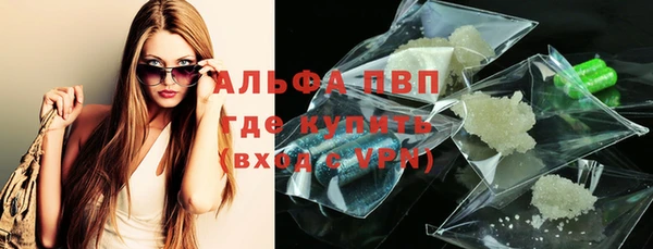 стаф Баксан
