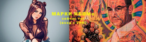 стаф Баксан