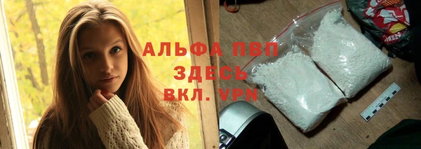 стаф Баксан
